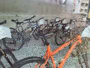 Dein Fahrrad - GALLERY