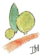 Delle und Heinemann Garten- und Landschaftsbau eGbR - Logo Delle und Heinemann Garten- und Landschaftsbau GbR