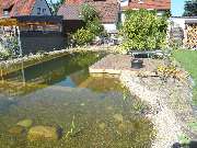 Delle und Heinemann Garten- und Landschaftsbau eGbR - Schwimmteich