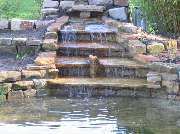 Delle und Heinemann Garten- und Landschaftsbau eGbR - Teichbau