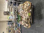 Denns BioMarkt Ingelheim am Rhein - GALLERY