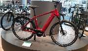 Der BikeProfi Fahrradladen - 20230621_095603.jpg