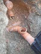 Der Dienstleistungs - Wolf - WhatsApp Bild 2023-10-11 um 09.38.47_4024c0dd - Kopie - Kopie.jpg