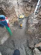 Der Dienstleistungs - Wolf - WhatsApp Bild 2024-02-16 um 14.29.15_d932d0c0.jpg