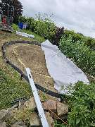 Der Dienstleistungs - Wolf - WhatsApp Bild 2025-01-20 um 07.05.12_2a9dec55.jpg