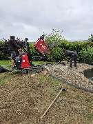 Der Dienstleistungs - Wolf - WhatsApp Bild 2025-01-20 um 07.05.13_d7b2bd91.jpg