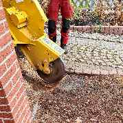 Der Gartenpionier - 10