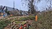 Der Gartenpionier - 4