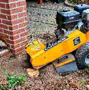 Der Gartenpionier - 9