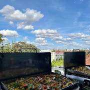 Der Grillhandwerker - 409F212D-9D34-4924-99F6-0149D1FAC39F.jpeg