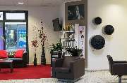 Der HAARchitekt - GALLERY