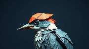 Der Holzvogel - GALLERY