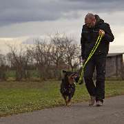 Der Hunde Coach Lothar Schneider - GALLERY