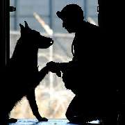 Der Hunde Coach Lothar Schneider - GALLERY