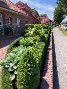 Der Landschaftsgärtner Inhaber Wilfried Tammen e.K. - 4