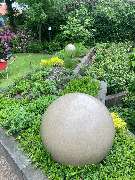 Der Landschaftsgärtner Inhaber Wilfried Tammen e.K. - 5