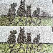 Der Polsterreiniger - Die mobile Polsterreinigung - GALLERY