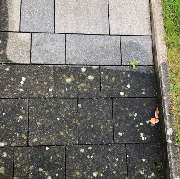 Der-Proficleaner - 3