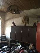 Der Transporter Wohnungs Haus  und Kellerräumung - 14