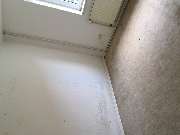 Der Transporter Wohnungs Haus  und Kellerräumung - 16