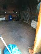 Der Transporter Wohnungs Haus  und Kellerräumung - 18