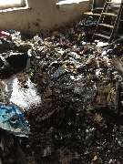 Der Transporter Wohnungs Haus  und Kellerräumung - 21