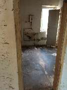 Der Transporter Wohnungs Haus  und Kellerräumung - 23