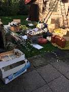 Der Transporter Wohnungs Haus  und Kellerräumung - 24