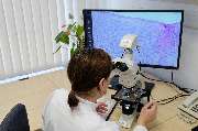 Dermatologie, Allergologie, Lasermedizin II - Thalkirchner Straße | München Klinik - Probenuntersuchung