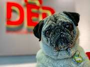 DERTOUR Reisebüro - GALLERY