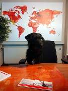 DERTOUR Reisebüro - GALLERY