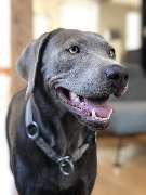 DESIGN PER SE - Jürgen X. Albrecht - GALLERY