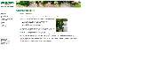 Detlef-Mario Tessin Garten Service Tessin - 1