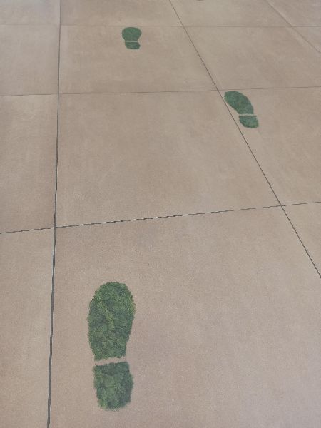 Deutsche Bank Filiale - Banking und Nachhaltigkeit