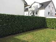 Deveci Objektbetreuung - 1024x748 (3).jpg