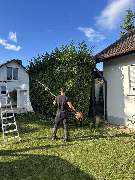 Deveci Objektbetreuung - Hecke.jpg