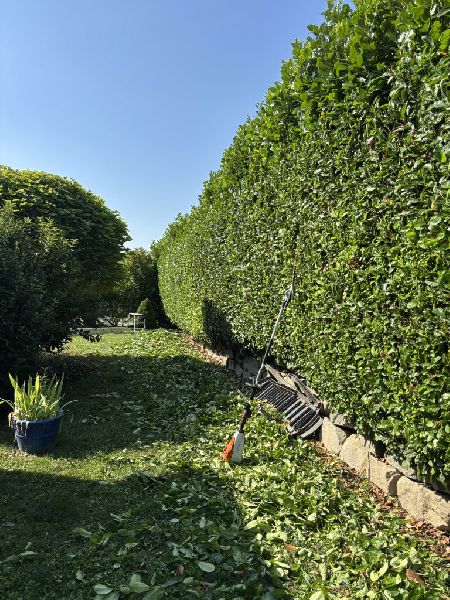 Deveci Objektbetreuung - IMG_0263.JPEG