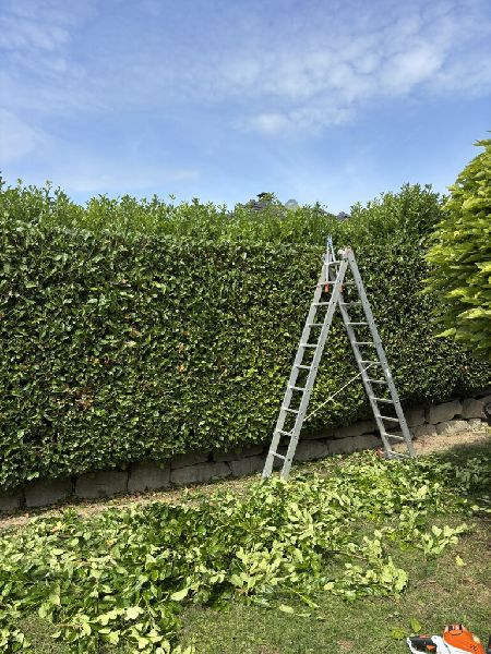 Deveci Objektbetreuung - IMG_0267.JPEG