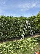 Deveci Objektbetreuung - IMG_0267.JPEG