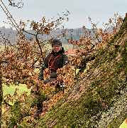 DG Baum & Gartenpflege - GALLERY