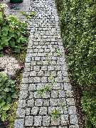 DG Hofservice - Kundenauftrag Vorher