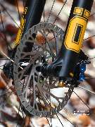 DG Performance for Bikes - GALLERY