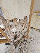 Diana v. B. Allround Handwerker Service - GALLERY