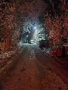 Diana v. B. Allround Handwerker Service - GALLERY