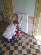 Diana v. B. Allround Handwerker Service - GALLERY