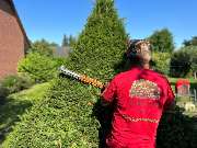 DIE BAU(M)TEUFEL Garten- und Landschaftsbau Jörg Schielke - Gartenpflege im ABO