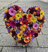 Die Blütenfee - GALLERY