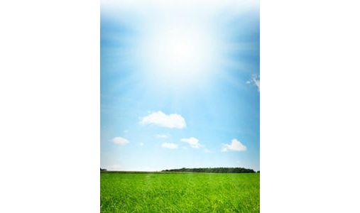 Die Fleischmänner - GALLERY