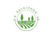 Die GaLaJungs UG (haftungsbeschränkt) - 2