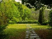 Die Gartenmalerin - Andrea Meitinger - 2